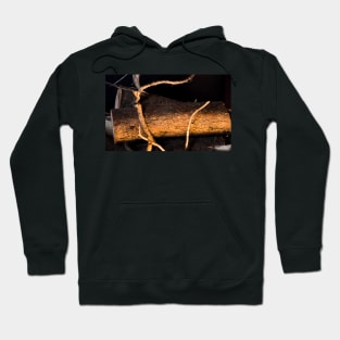 4212015 firewood Hoodie